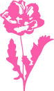 delphine logo rose